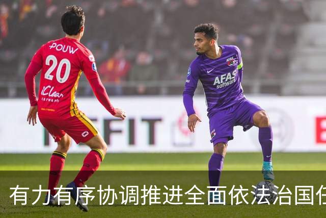 有力有序协调推进全面依法治国任务落实（权威发布·开局起步“十五五”）
